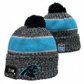 Cheap Carolina Panthers 2025 Knit Hats 006