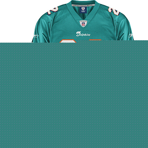 Wholesale Cheap Dolphins #22 Reggie Bush Green Team Color Stitched NFL Jersey